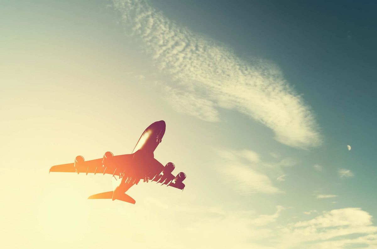 5 Steps to Keep Your Belongings Secure in Checked Baggage Pacsafe