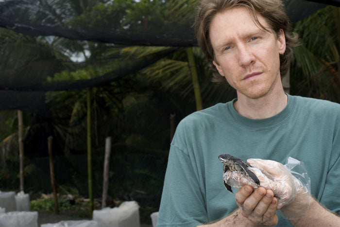 SEE Turtles Get A Boost From Pacsafe