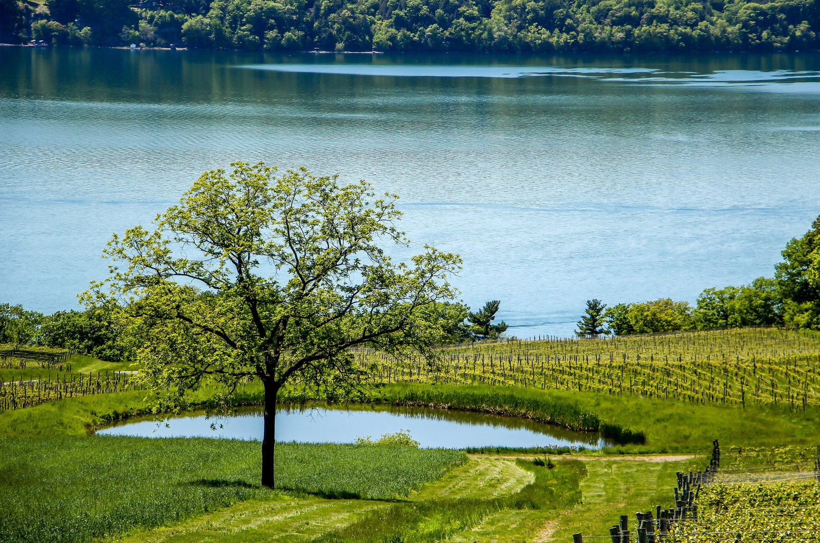 4 Favorite Labor Day Getaways