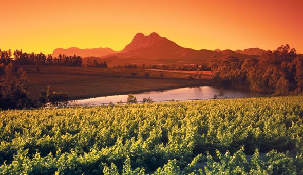South Africa's Wine Country: An Old Tradition
