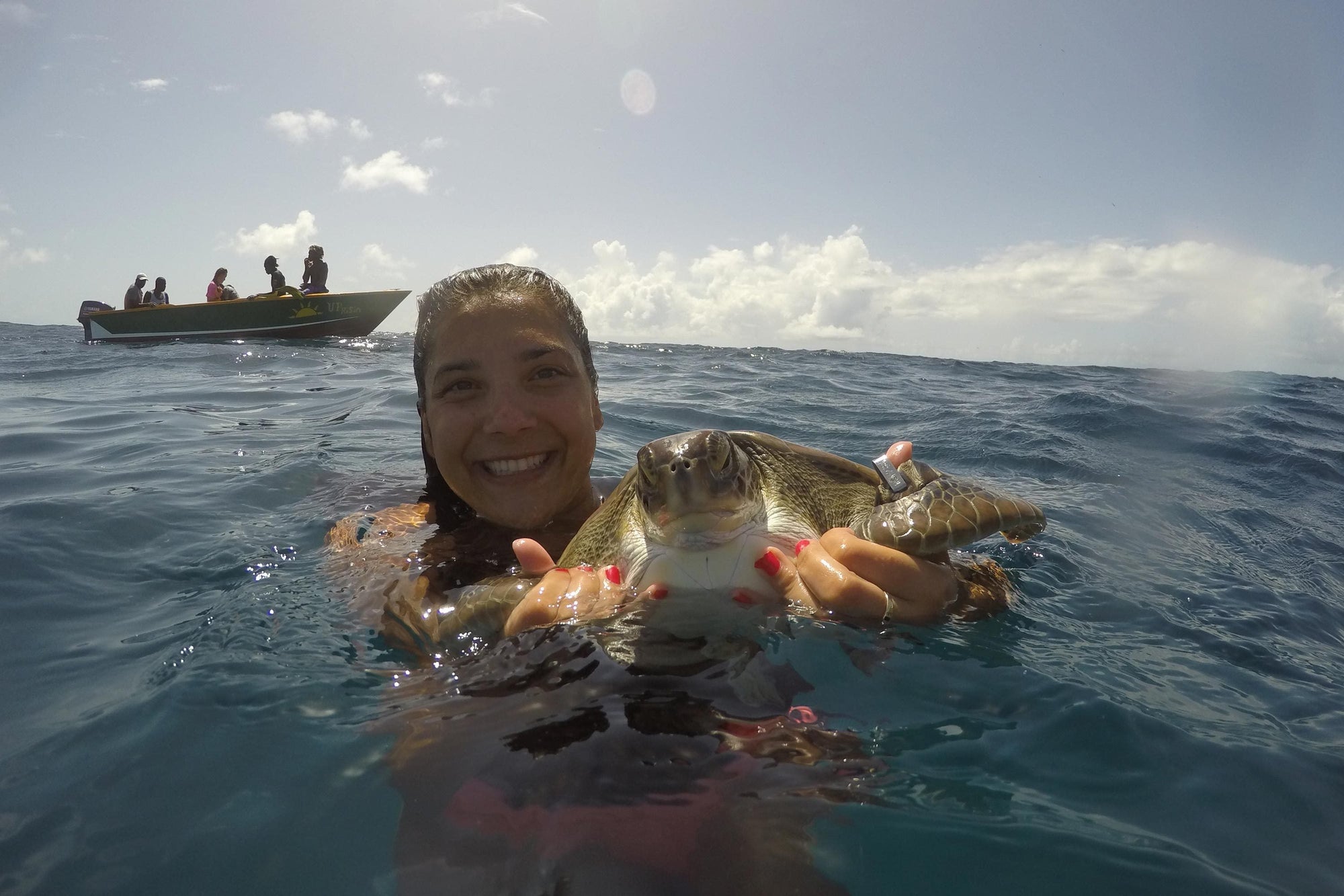Welcome our Sea Turtle Veterinarian, Dr Claire Petros!