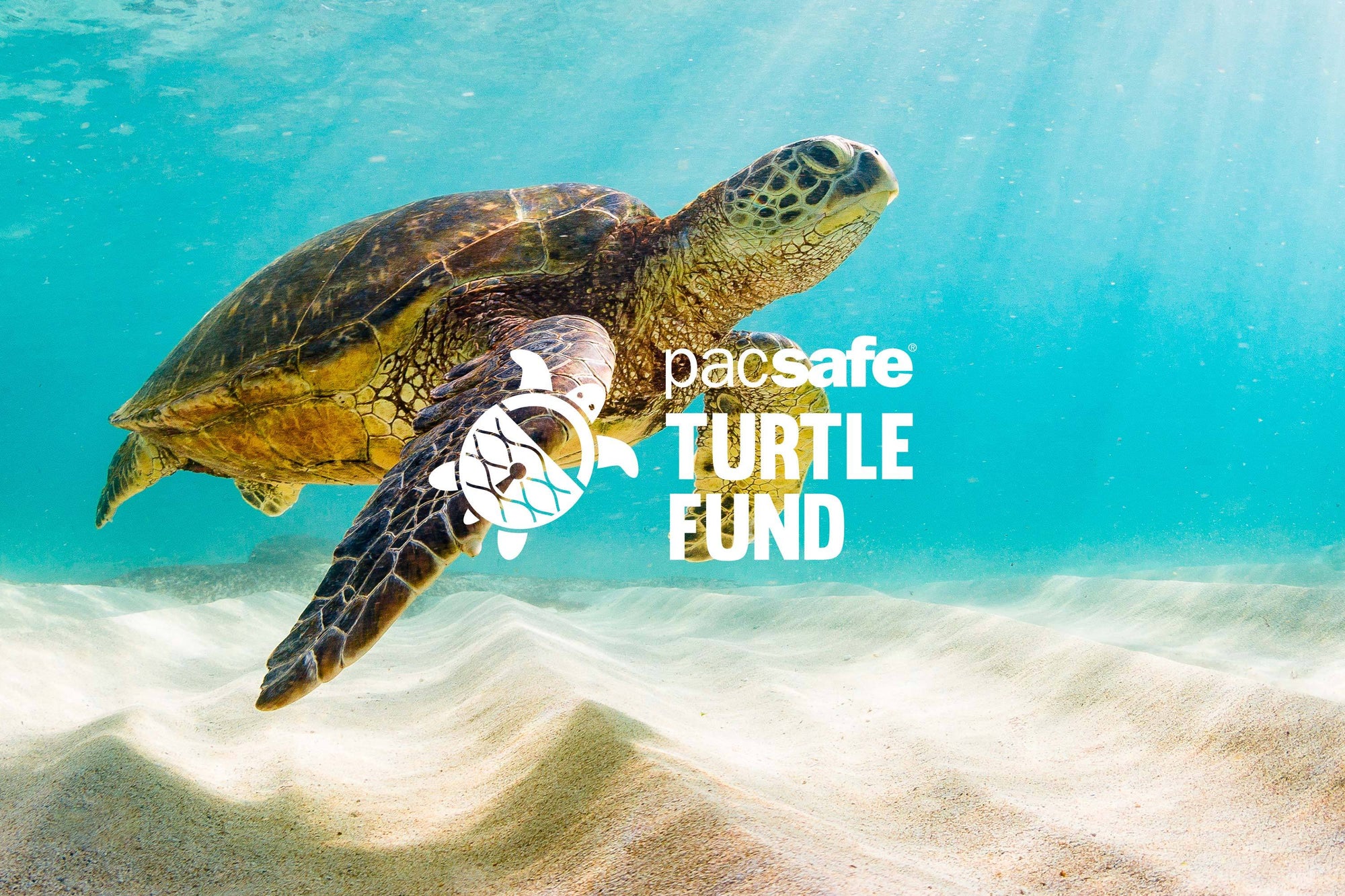 A Big 2018 For Pacsafe’s Turtle Fund